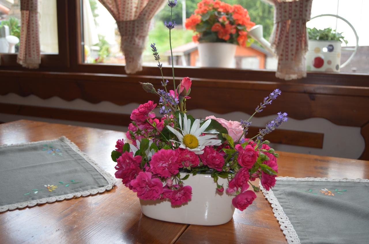 Гостевой дом Pensiunea Pasul Clabucetului Предял-17