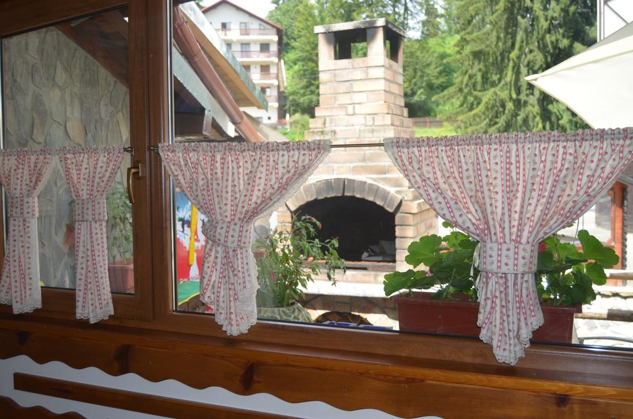 Гостевой дом Pensiunea Pasul Clabucetului Предял-9